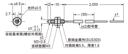 FT-31W