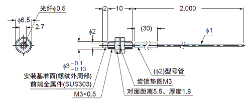 FT-31